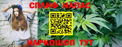 хмурый Можга