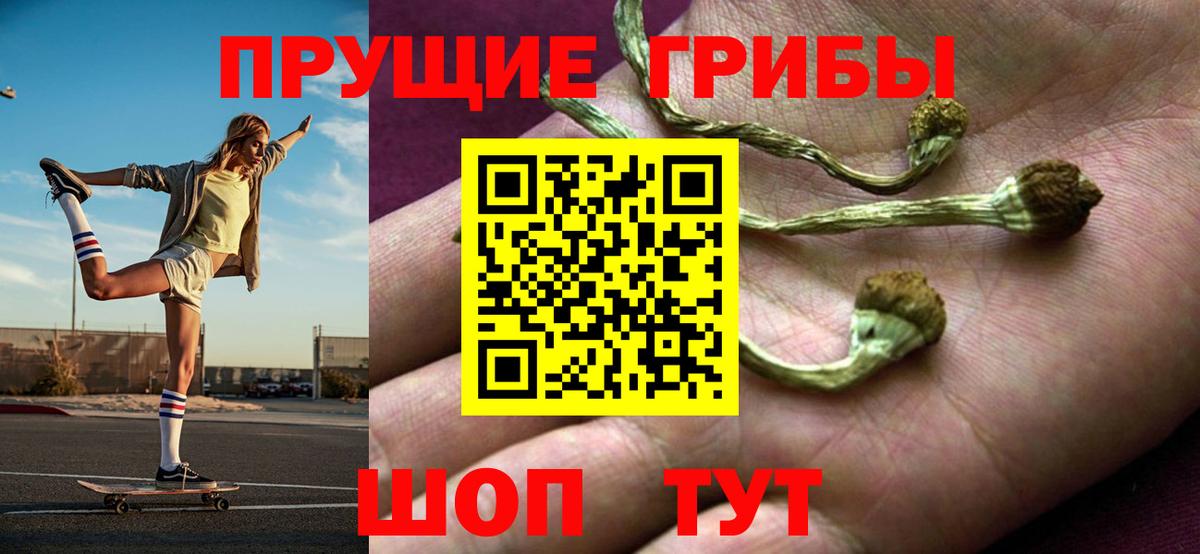 Свободный  Галлюциногенные грибы GOLDEN TEACHER  Вход с VPN 